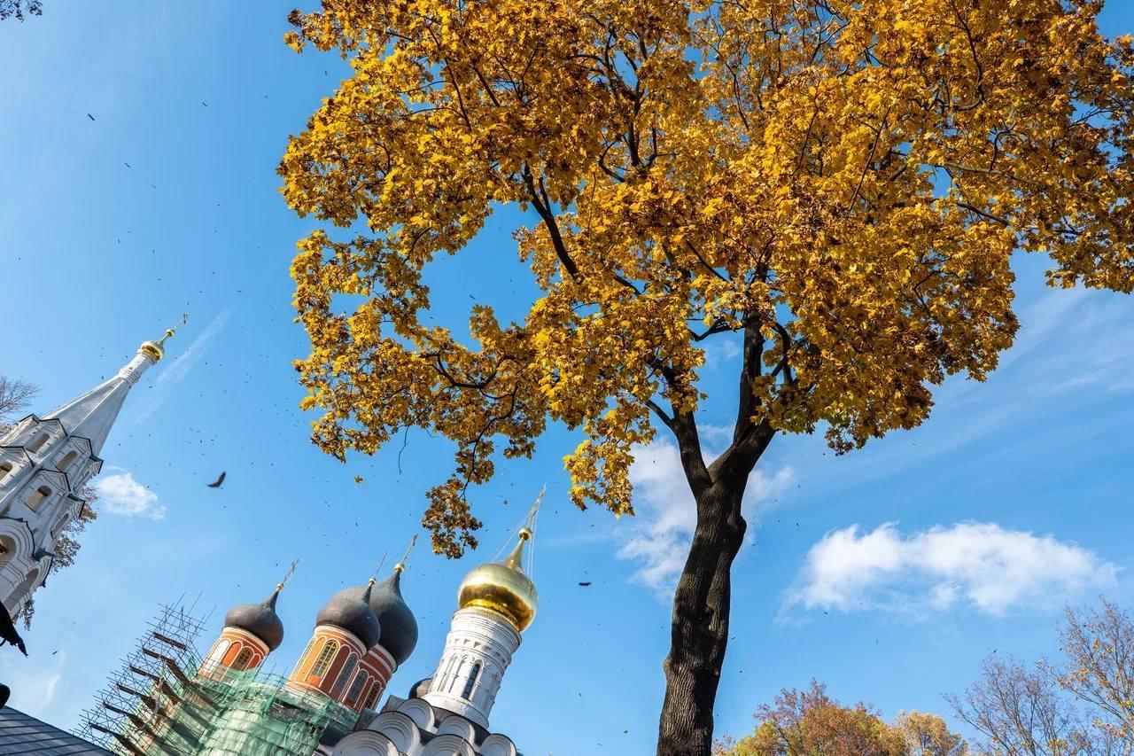 Аккредитация экскурсоводов